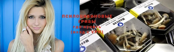 МДПВ Липки
