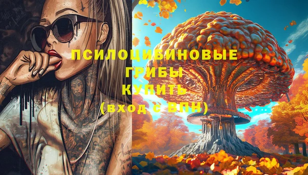 МДПВ Липки