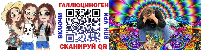 Псилоцибиновые грибы Psilocybe  Таруса 